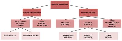 A multidisciplinary dermatology-gastroenterology-rheumatology (DER.RE.GA) unit for the care of patients with immune-mediated inflammatory diseases: analysis of the first 5 years from the dermatologist’s perspective